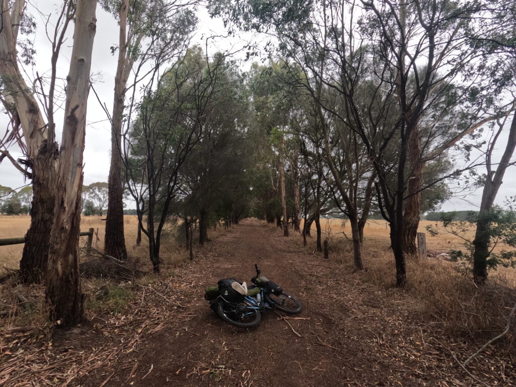 Camperdown to Timboon Rail Trail in Australia